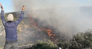 الحرائق المندلعة في إحدى الغابات بناحية راجو - مصدر الصورة: متداول